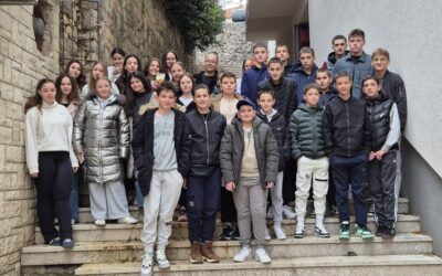 Sokol – nezaustavljiv kao sudbina